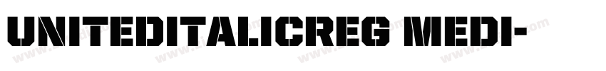 UnitedItalicReg Medi字体转换